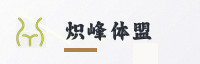 合作伙伴